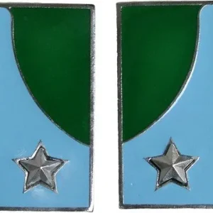 Mostrine FAV Veterinari Alpini, metallo, aggancio pins