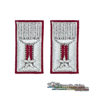 Alamari ACA Carabinieri Polo Tuta OP, ricamati a macchina, a velcro, 2,5×4,5 cm