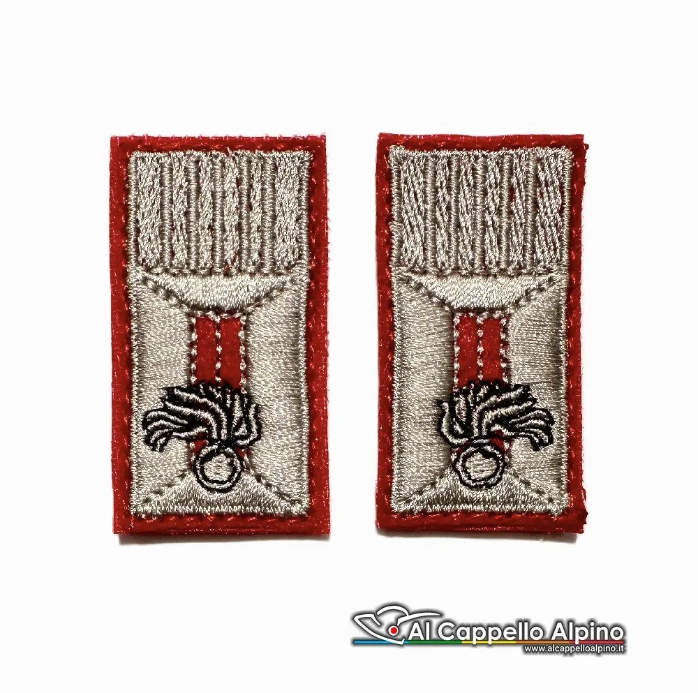 Alamari ACA Associazione Nazionale Carabinieri Polo Tuta OP, ricamati a macchina, a velcro - immagine 2