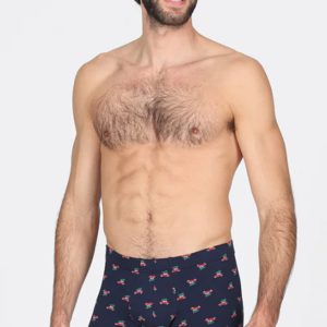 Boxer in fantasia natalizia Genova Julipet